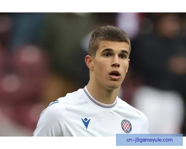 热刺未决武什科维奇盼兄弟同队