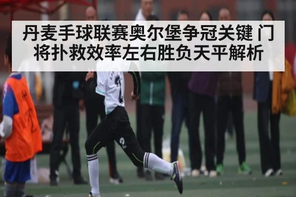 丹麦手球联赛奥尔堡争冠关键 门将扑救效率左右胜负天平解析（www.c7c7.app）